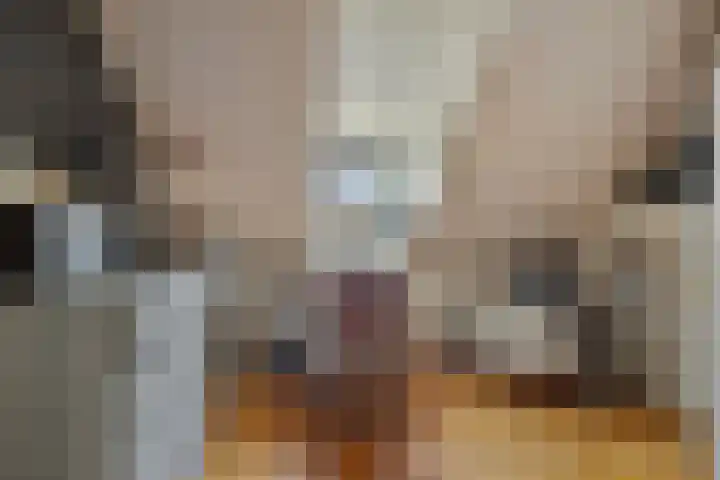 Brugstraat 5 Wanssum thumbnail 36