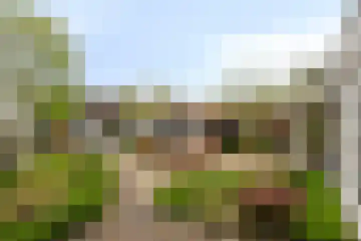 Brugstraat 5 Wanssum thumbnail 38