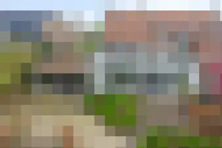 Brugstraat 5 Wanssum thumbnail 64