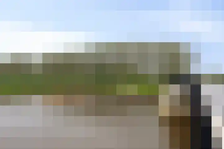 Brugstraat 5 Wanssum thumbnail 69