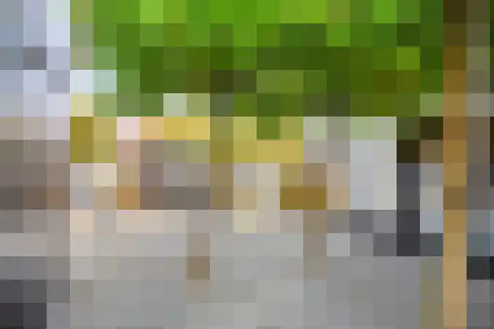 Brugstraat 74 Vinkel thumbnail 62