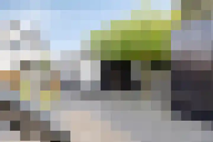 Brugstraat 74 Vinkel thumbnail 64