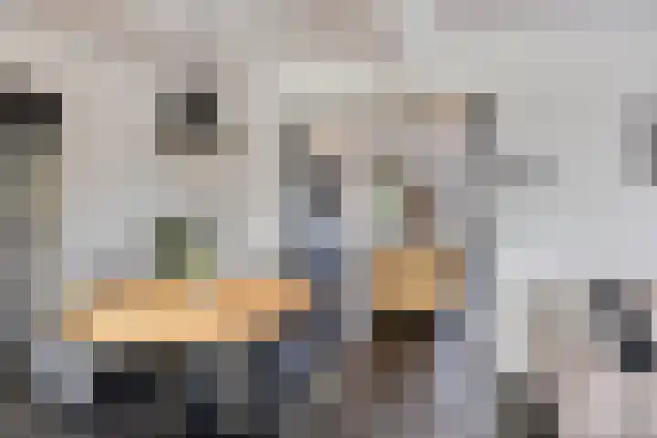 Brugstraat 74 Vinkel thumbnail 9