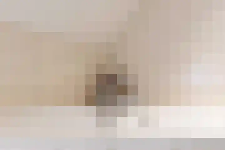 Brugwacht 162 Leiderdorp thumbnail 37