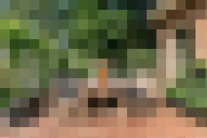 Brugwacht 162 Leiderdorp thumbnail 46