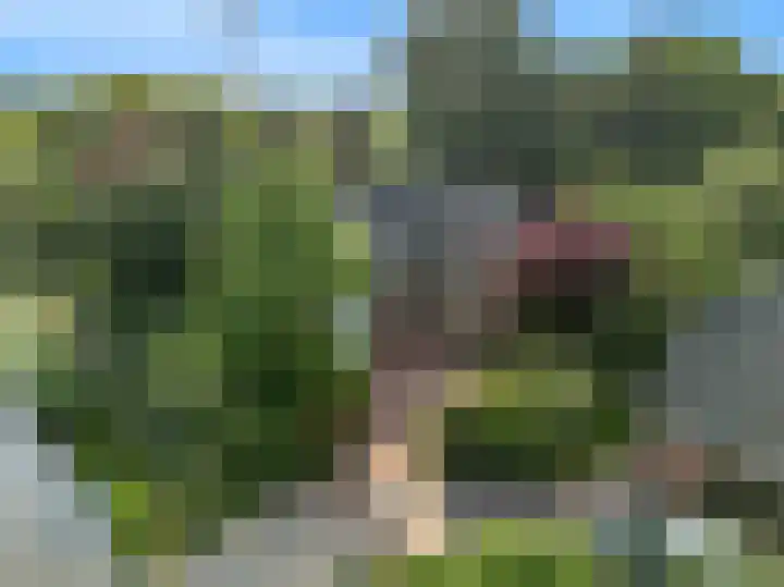 Brugwacht 162 Leiderdorp thumbnail 53
