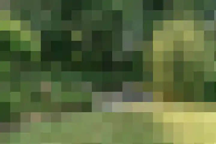 Brugwacht 162 Leiderdorp thumbnail 54