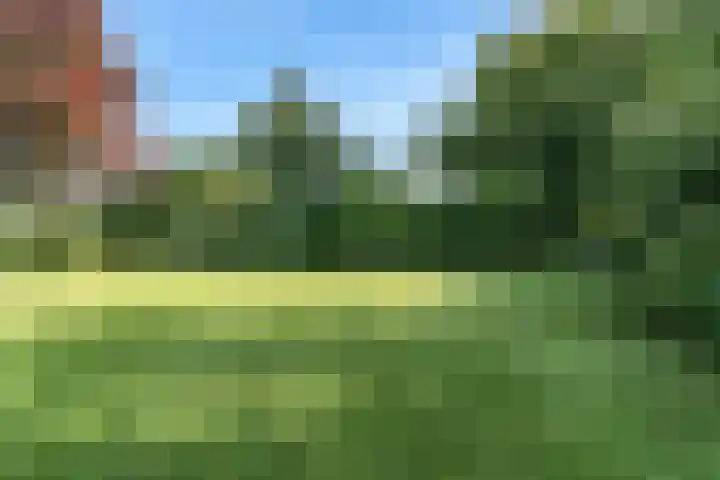 Brugwacht 162 Leiderdorp thumbnail 55