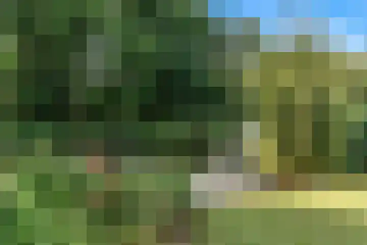 Brugwacht 162 Leiderdorp thumbnail 56