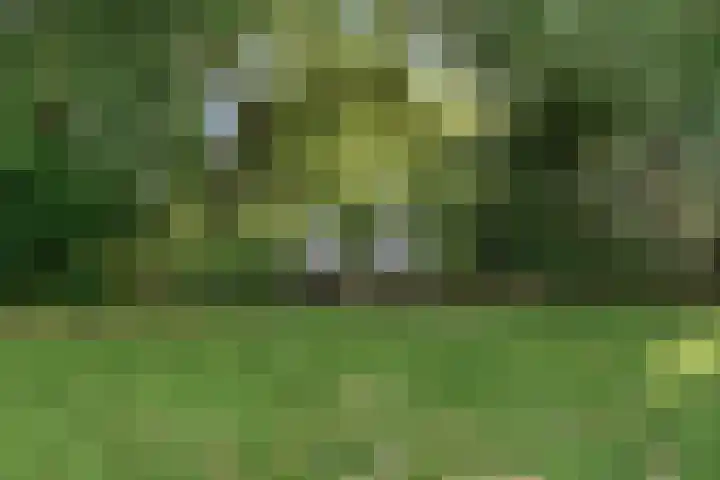 Brugwacht 162 Leiderdorp thumbnail 58