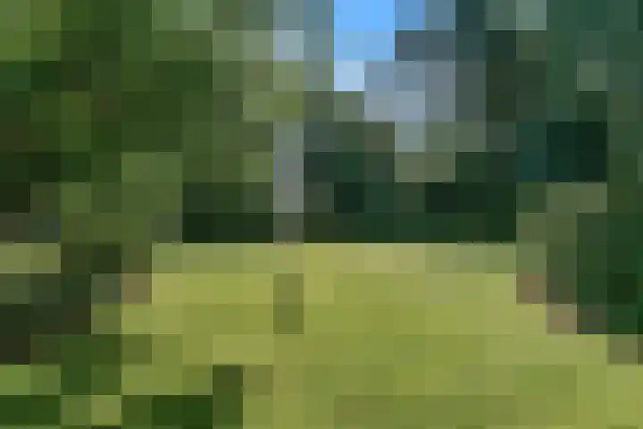 Brugwacht 162 Leiderdorp thumbnail 60