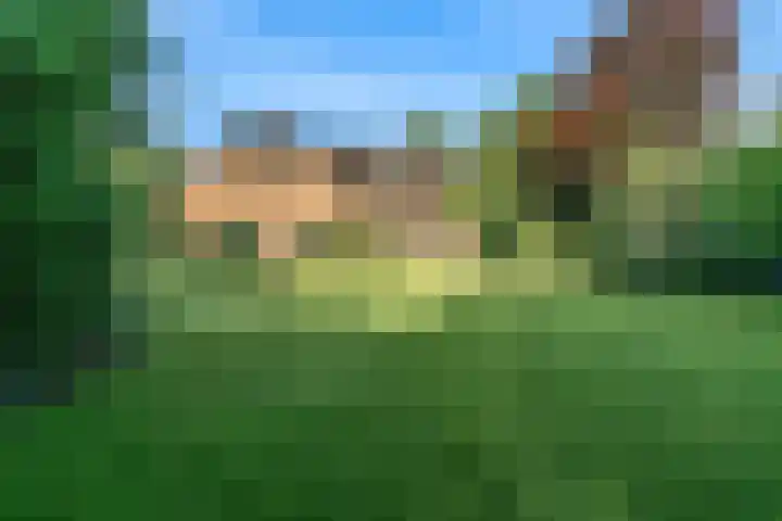 Brugwacht 162 Leiderdorp thumbnail 62