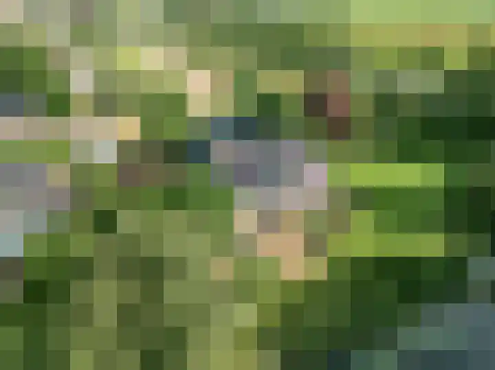 Brugwacht 162 Leiderdorp thumbnail 65