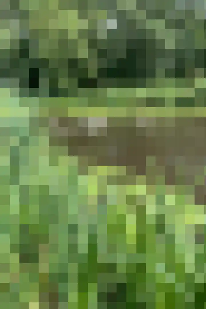 Brugwacht 162 Leiderdorp thumbnail 67