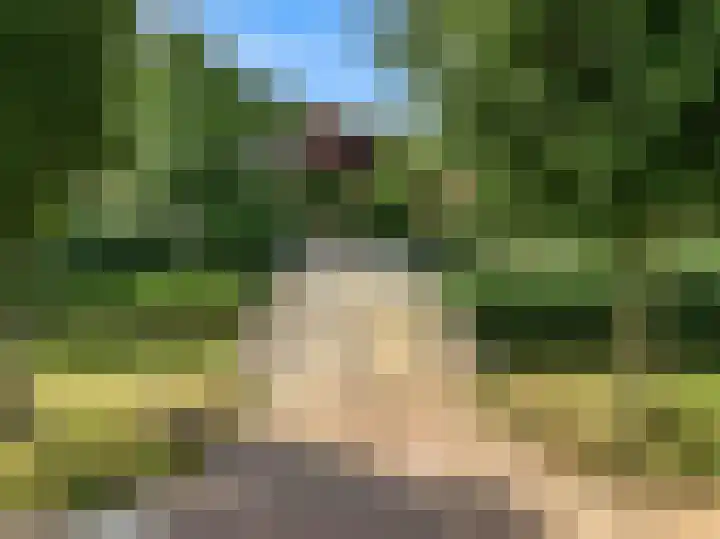 Brugwacht 162 Leiderdorp thumbnail 72