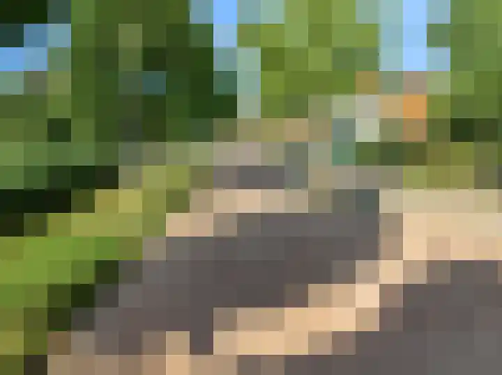 Brugwacht 162 Leiderdorp thumbnail 74