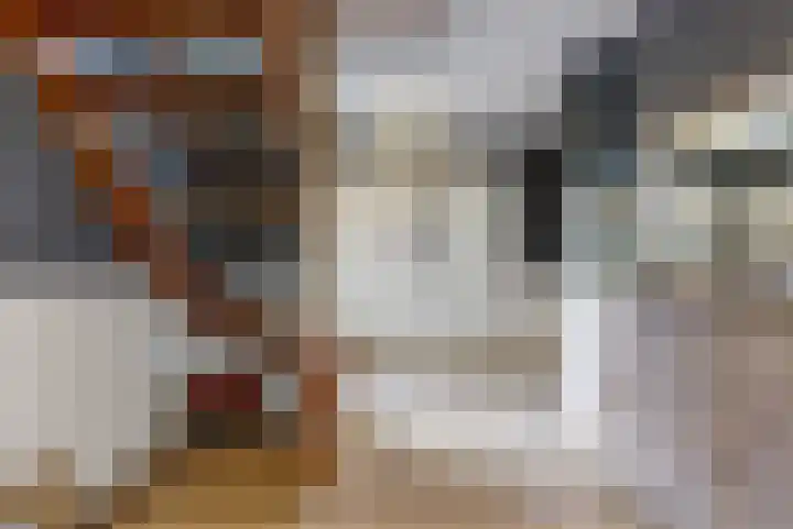Brugwacht 162 Leiderdorp thumbnail 8