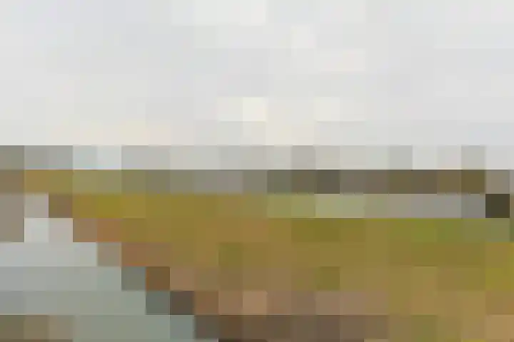Brugwacht 30 Leiderdorp thumbnail 35
