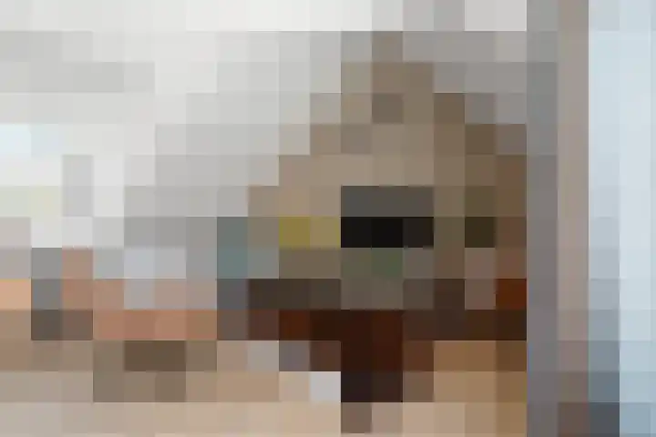 Brugweg 17 d Velp thumbnail 12