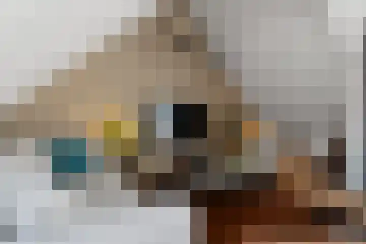 Brugweg 17 d Velp thumbnail 13