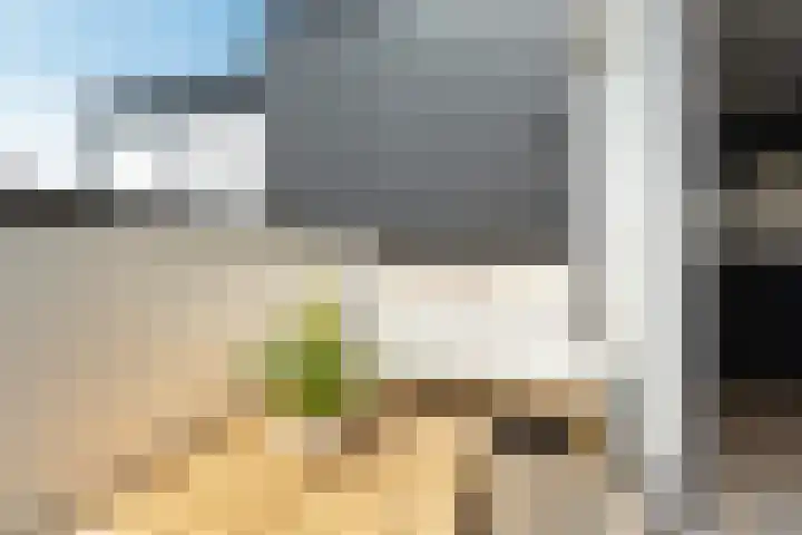 Brugweg 17 d Velp thumbnail 21