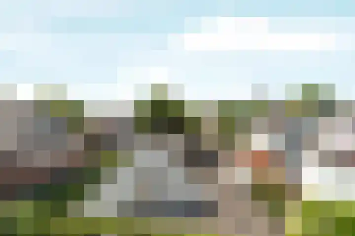 Brugweg 17 d Velp thumbnail 22