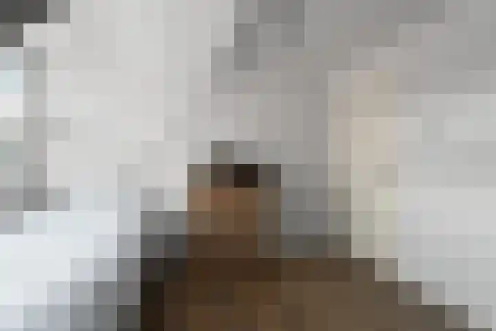 Brugweg 17 d Velp thumbnail 32