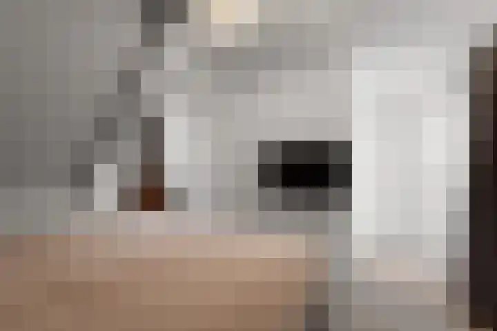 Brugweg 17 d Velp thumbnail 35