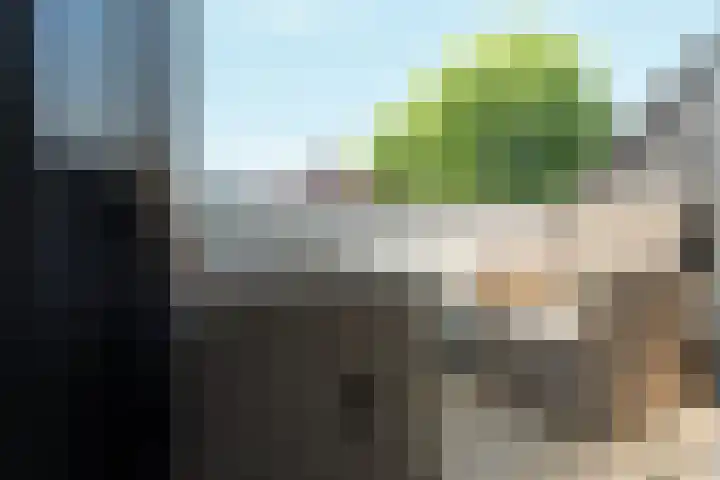 Brugweg 17 d Velp thumbnail 37