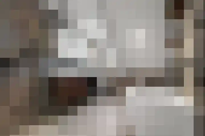 Brugweg 17 d Velp thumbnail 38