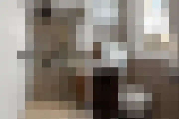 Brugweg 17 d Velp thumbnail 42