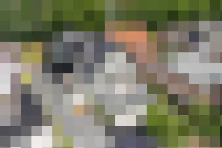 Brugweg 17 d Velp thumbnail 47