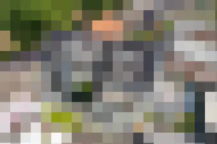 Brugweg 17 d Velp thumbnail 48