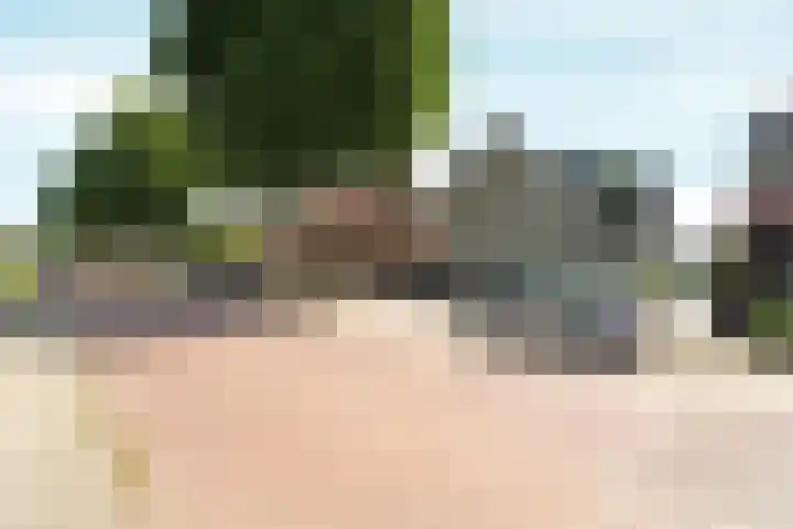 Brugweg 17 d Velp thumbnail 6