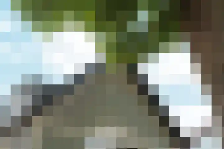 Brugweg 17 d Velp thumbnail 7