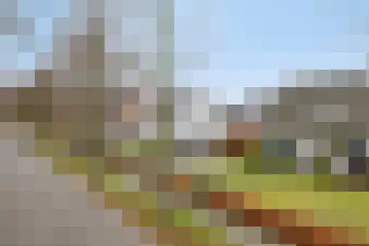 Bruhezerweg 30 Helmond thumbnail 6