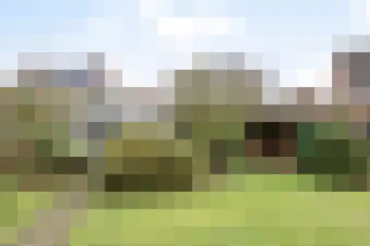 Bruhezerweg 30 Helmond thumbnail 61