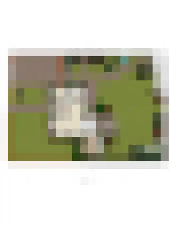 Bruhezerweg 30 Helmond thumbnail 7