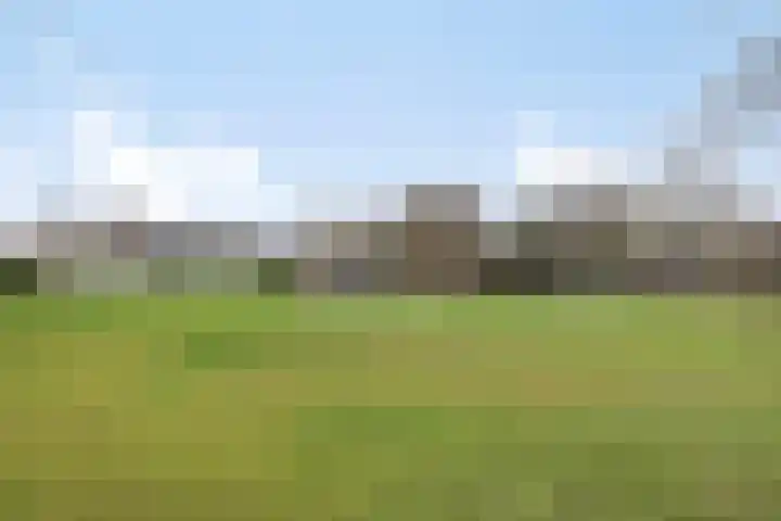 Bruhezerweg 30 Helmond thumbnail 75