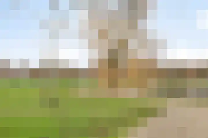 Bruhezerweg 30 Helmond thumbnail 83