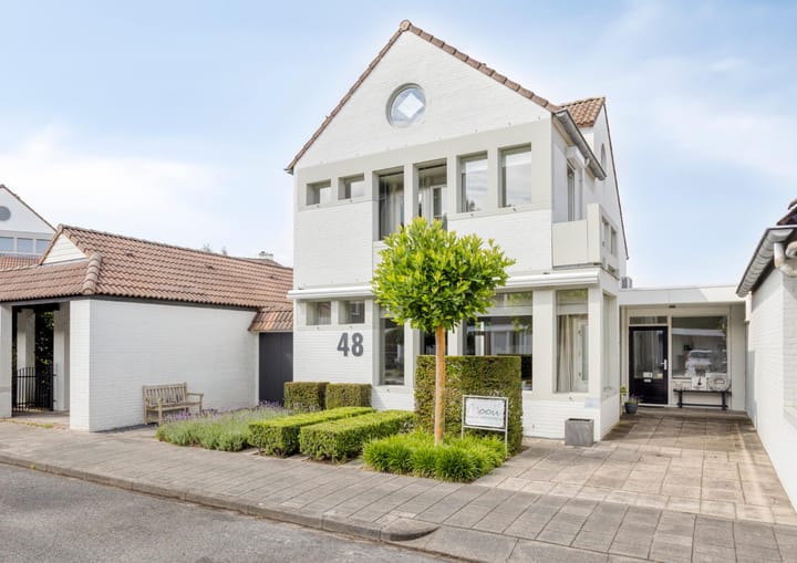 Bruine Akkers 48 in Maarheeze foto