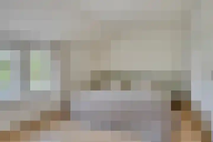 Bruine Akkers 48 Maarheeze thumbnail 27