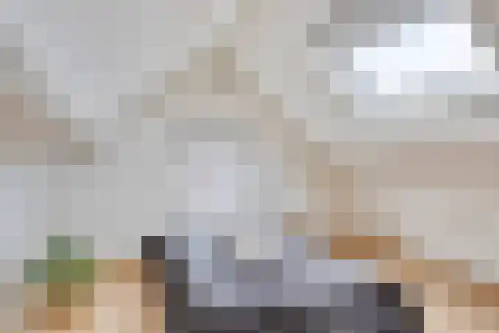 Bruine Akkers 48 Maarheeze thumbnail 4
