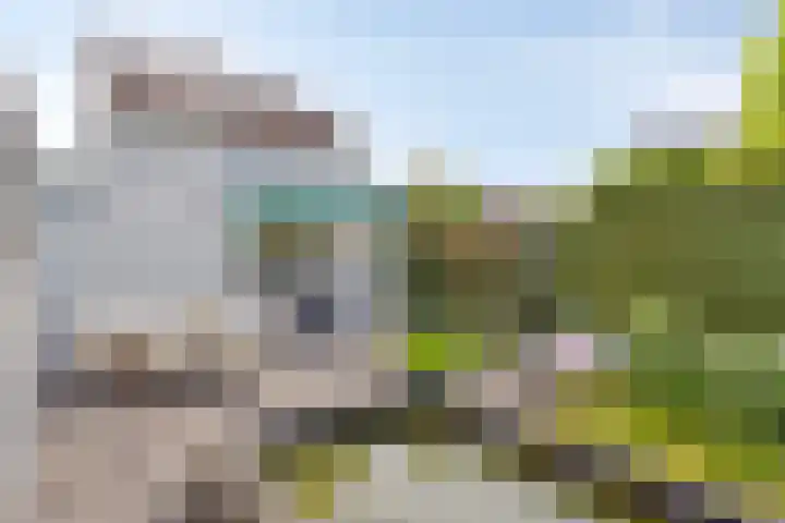 Bruine Akkers 48 Maarheeze thumbnail 43