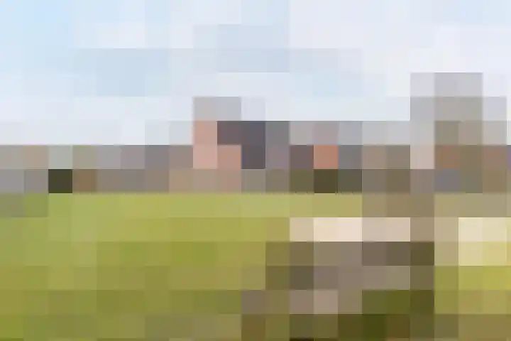 Bruine Akkers 48 Maarheeze thumbnail 59