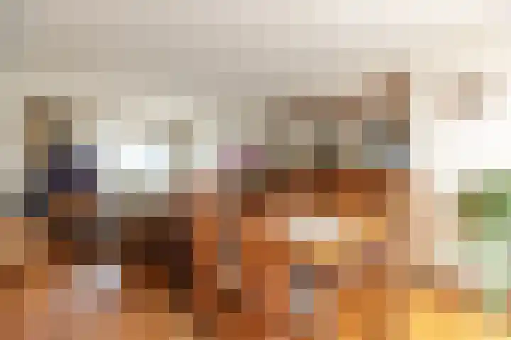 Bruine Berk 7 Zundert thumbnail 10