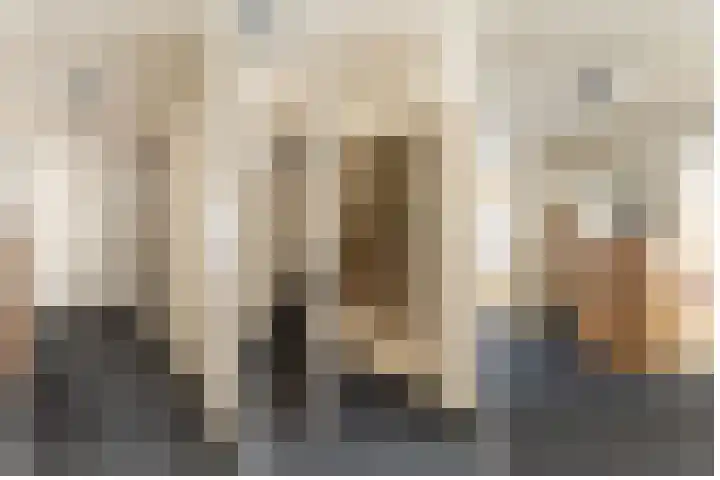 Bruine Berk 7 Zundert thumbnail 18
