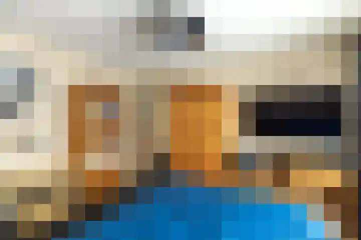 Bruine Berk 7 Zundert thumbnail 20