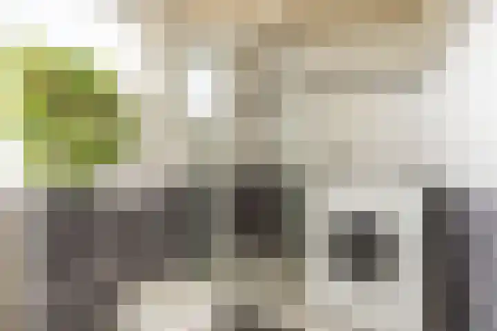 Bruine Berk 7 Zundert thumbnail 25