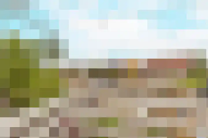 Bruine Berk 7 Zundert thumbnail 27